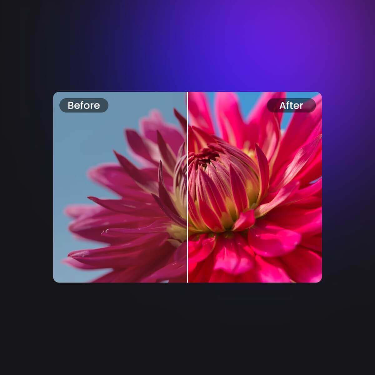 Comparison of normal and desaturated saturation with a pink flower in the picture