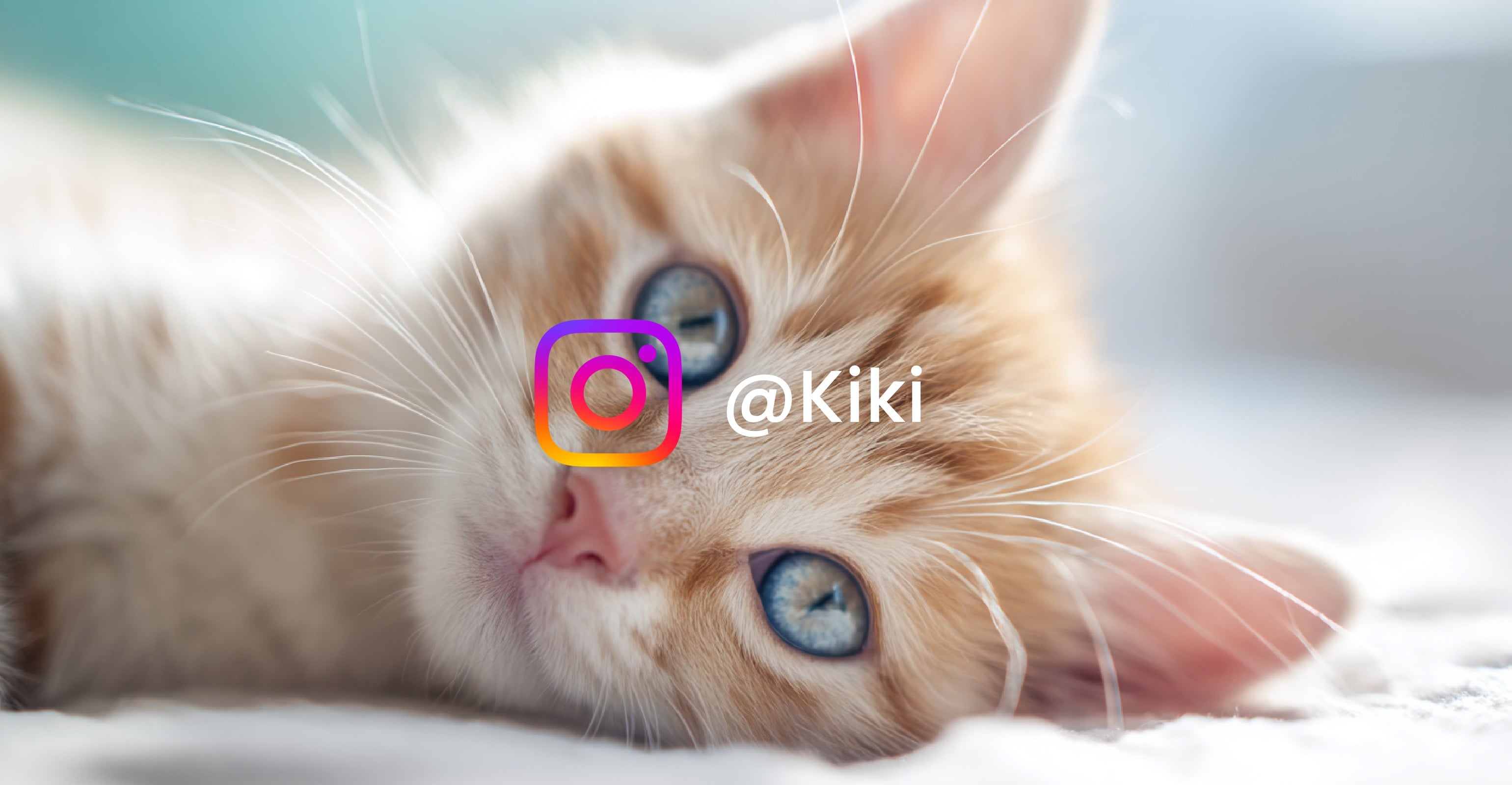 Fotor watermark remover before single watermark banner image