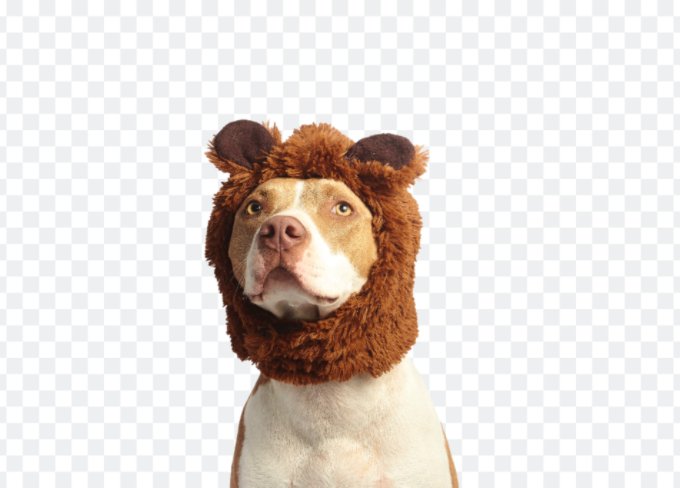 Obtenir un png transparent avec l'outil de suppression du fond en ligne