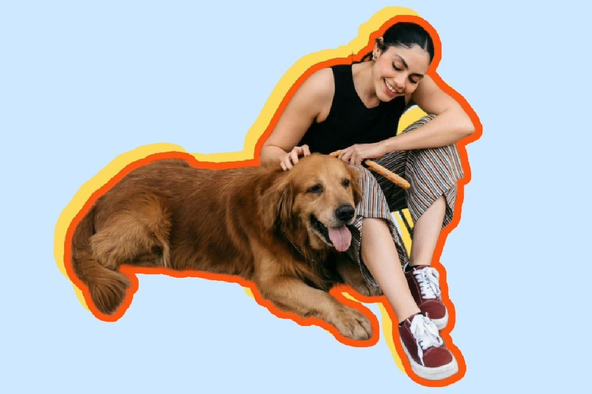 The female and dog image added glowing outline with Fotor image outline maker